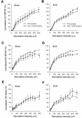 Vestibular Modulation of Long-Term Potentiation and NMDA Receptor Expression in the Hippocampus